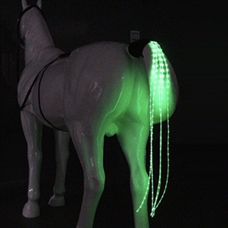 LED lys til hestehale - Grønt lys